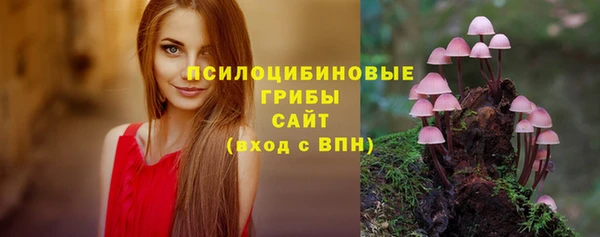 амф Арсеньев