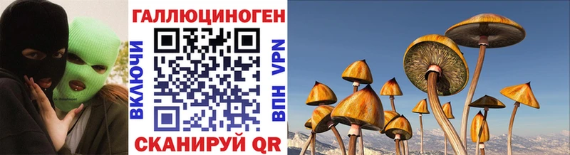 кракен tor  Дно  Псилоцибиновые грибы Psilocybe 